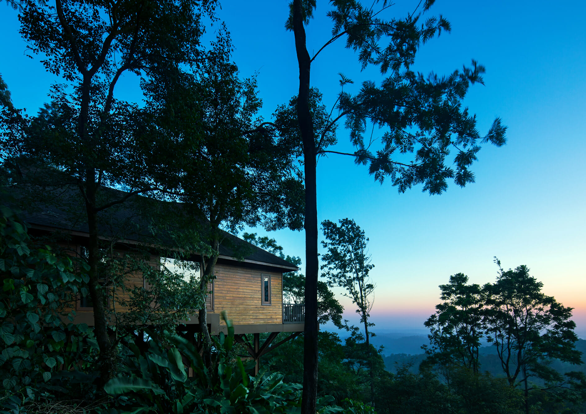 tree-height-cottage-with-nature-view