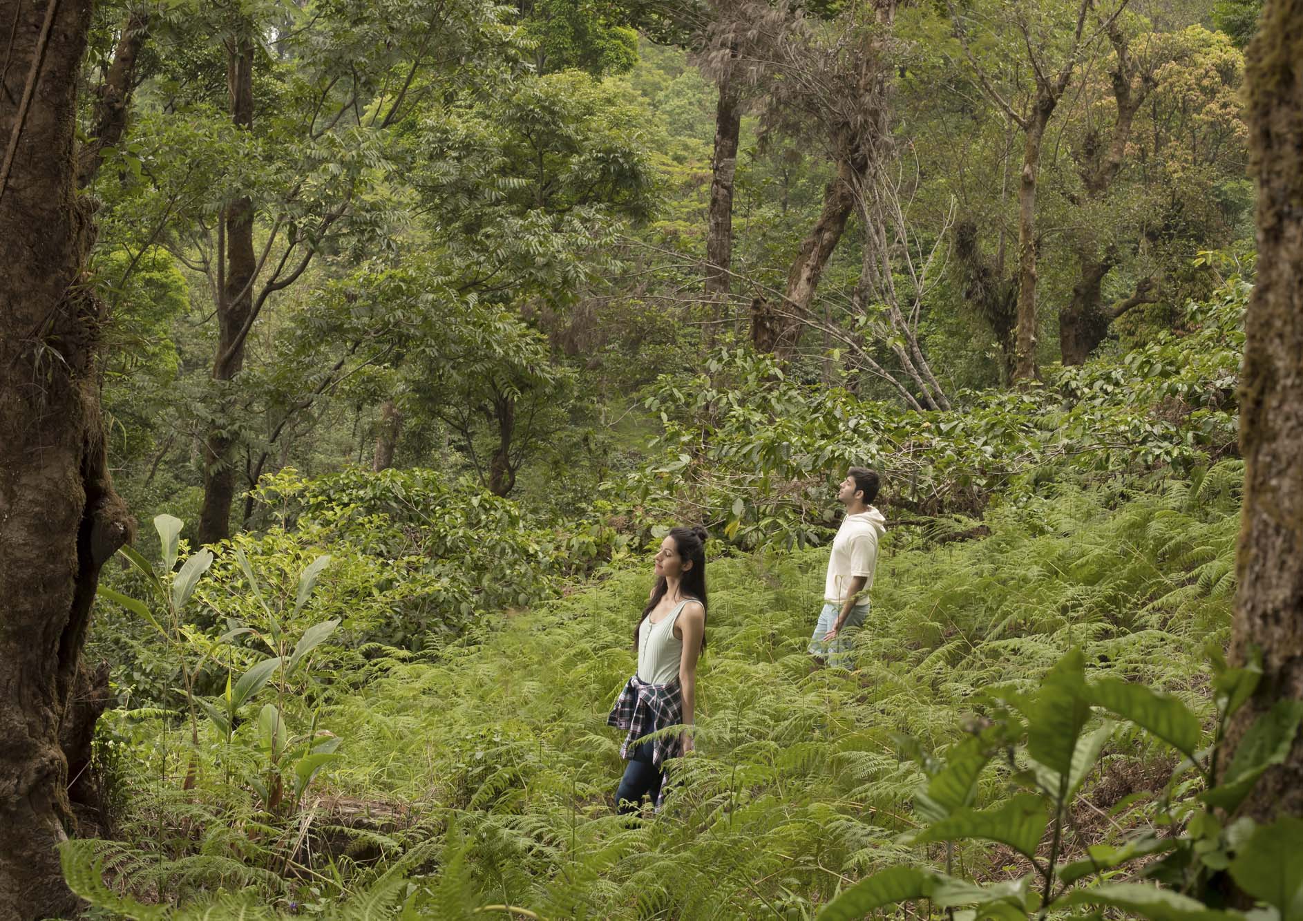 couple-experiencing-nature-at-the-tamara-coorg