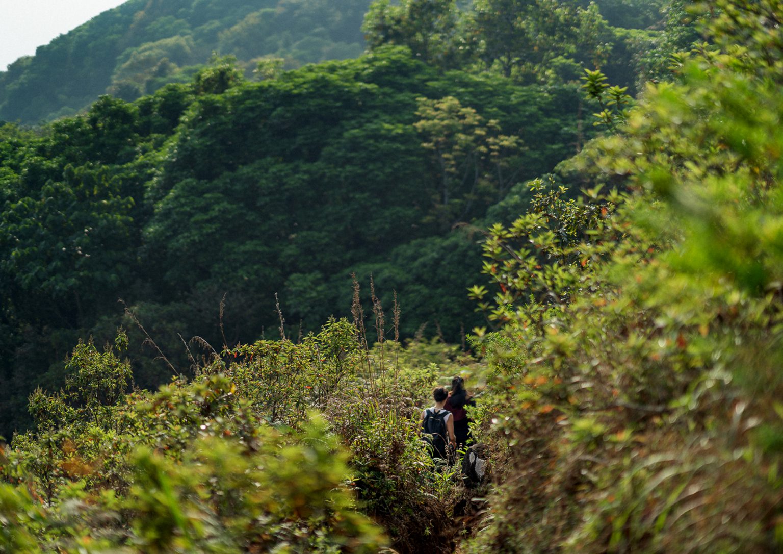 Trekking by Tamara Coorg