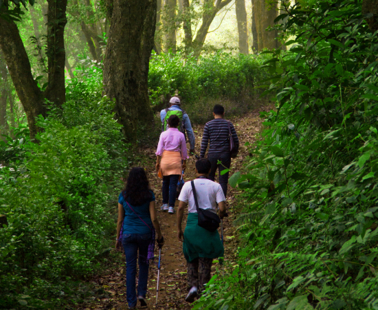 Plantation-Tour-Experience-at-The-Tamara-Coorg