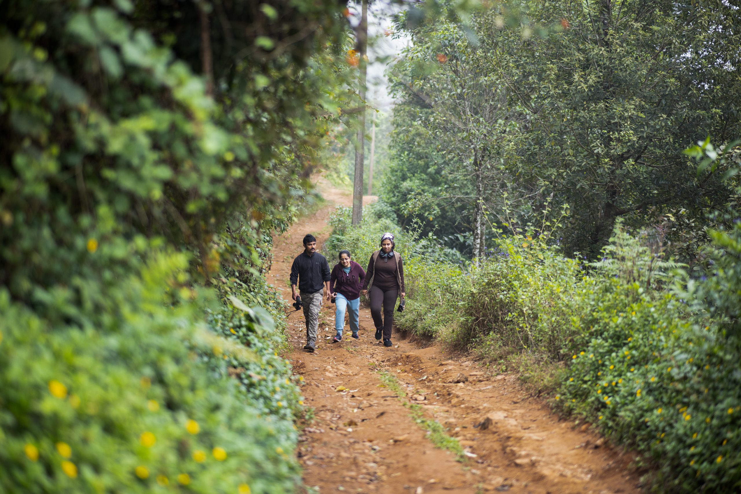 Trek at The Tamara Coorg